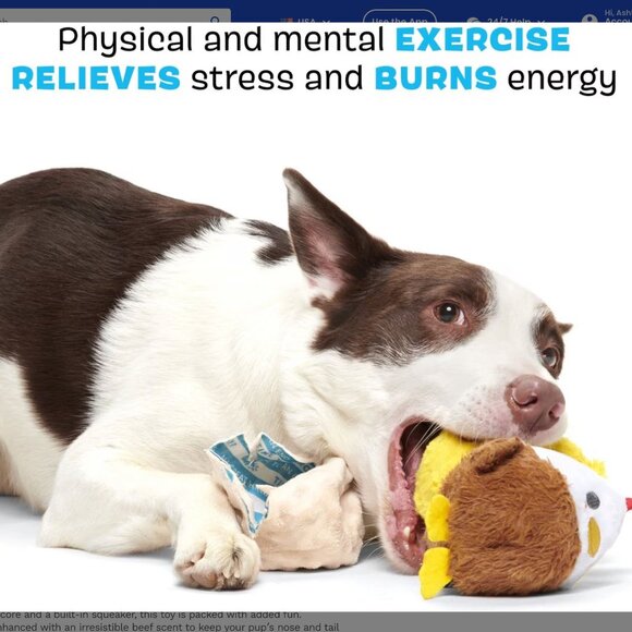 NWT, BARK Hatch Me If You Can Hard Core Tough Dog Chew Toy, Large, Tan and White - Picture 3 of 6